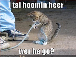 i tai hoomin heer  wer he go?