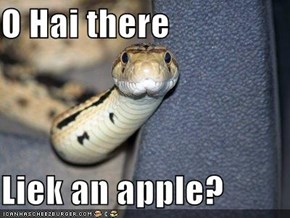 O Hai there  Liek an apple?