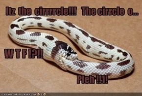 Itz  the  cirrrrcle!!!   The cirrcle  o...