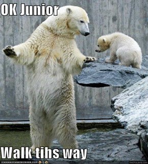 OK Junior  Walk tihs way