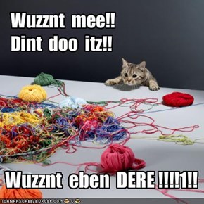 Wuzznt  mee!!Dint  doo  itz!!