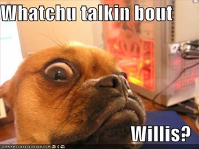 Whatchu talkin bout  Willis?