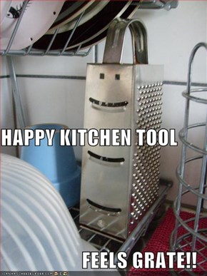 HAPPY KITCHEN TOOL FEELS GRATE!!