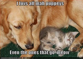 I luvs all mah puppeys  Even the ones that go 'meow'
