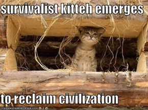 survivalist kitteh emerges  to reclaim civilization