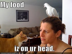 My food  iz on ur head.