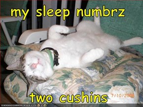 my sleep numbrz  two cushins