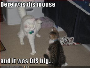Dere was dis mouse  and it was DIS big...