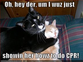Oh, hey der, um I wuz just    showin her howz to do CPR!