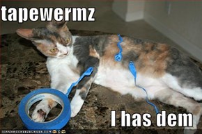 tapewermz  I has dem