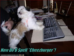 How Do U Spell "Cheezburger"!