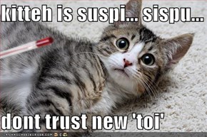 kitteh is suspi... sispu...  dont trust new 'toi'