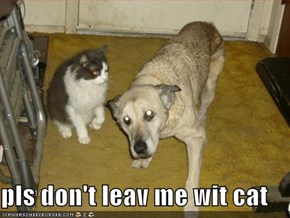 pls don't leav me wit cat
