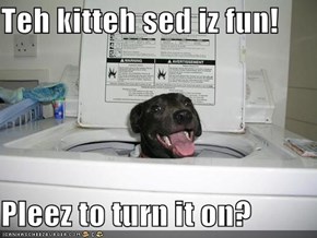 Teh kitteh sed iz fun!  Pleez to turn it on?