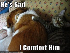 He's Sad                I Comfort Him
