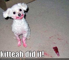 kitteah did it!