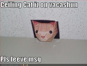 Ceiling Cat iz on vacashun  Pls leeve msg
