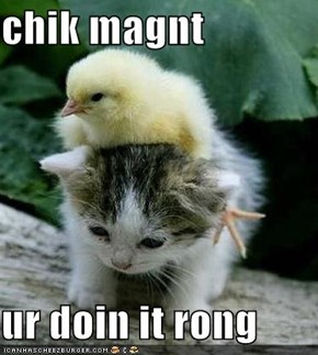 chik magnt  ur doin it rong