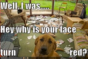 Well, I was..... Hey why is your face  turn                               red??