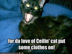 for da love of Ceilin' cat put some clothes on!