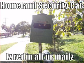 Homeland Security Cat  Iz redin all ur mailz