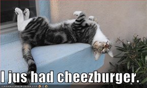 I jus had cheezburger.