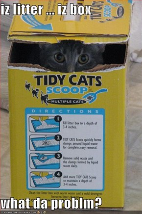 iz litter ... iz box  what da problm?