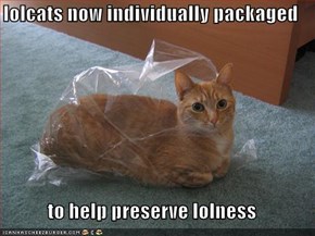 lolcats now individually packaged  to help preserve lolness