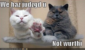 We haz judzgd u  Not wurthi