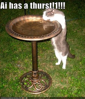 Ai has a thurst!1!!!