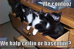 We confooz  We halp ceilin or basemint?