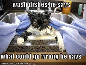 wash dishes he says  what could go wrong he says