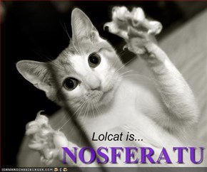 Lolcat is...