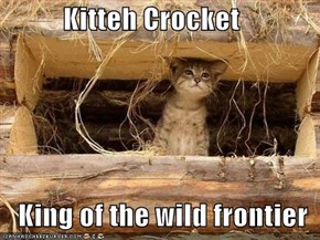 Kitteh Crocket     King of the wild frontier