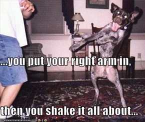 ...you put your right arm in, then you shake it all about...