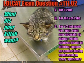 LOLCAT Exam Question #111.02