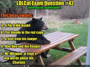 LOLCat Exam Question #42