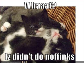 Whaaat?  Iz didn't do noffinks