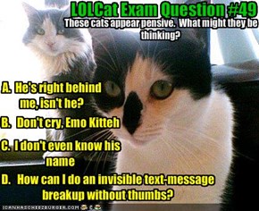 LOLCat Exam Question #49