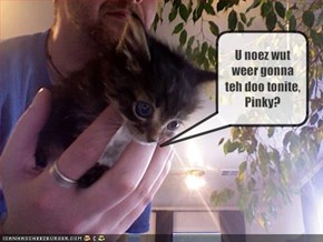 U noez wut weer gonna teh doo tonite, Pinky?