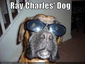 Ray Charles' Dog