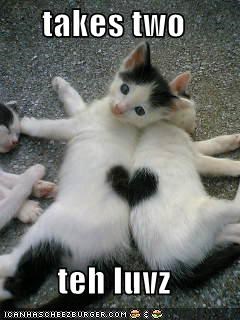 takes two   teh luvz