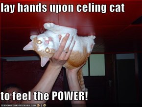 lay hands upon celing cat  to feel the POWER!