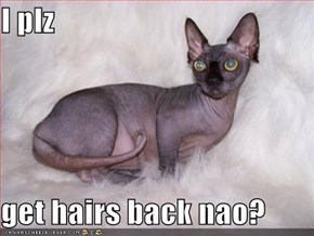 I plz  get hairs back nao?