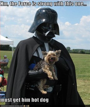 Hm, the Force is strong with this one...  must get him hot dog