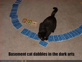 Basement cat dabbles in the dark arts