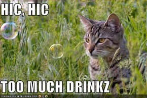 HIC, HIC  TOO MUCH DRINKZ