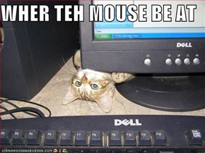 WHER TEH MOUSE BE AT