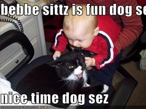 bebbe sittz is fun dog sez  nice time dog sez