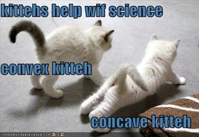 kittehs help wif science  convex kitteh concave kitteh